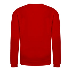 Kids' Dartmouth Sweatshirt - Red